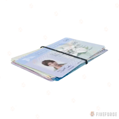bkr_prop_fakeid_bundledriverl GTA 5 object