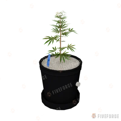 bkr_prop_weed_01_small_01a GTA 5 object