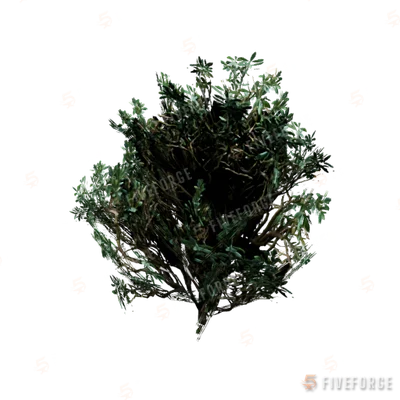 h4_prop_bush_boxwood_med_01 GTA 5 object