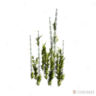 h4_prop_bush_buddleia_low_01 GTA 5 object