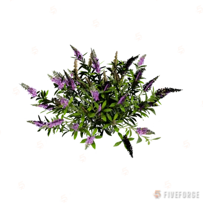 h4_prop_bush_buddleia_sml_01 GTA 5 object