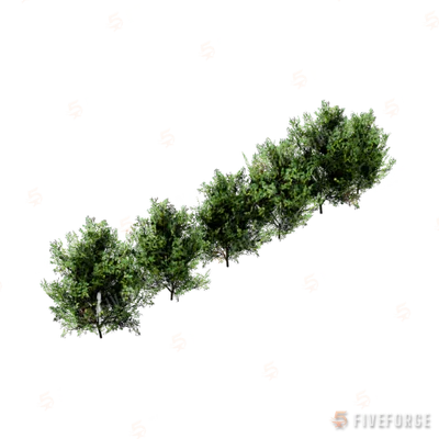 h4_prop_bush_cocaplant_01_row GTA 5 object