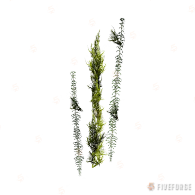 h4_prop_bush_ear_aa GTA 5 object
