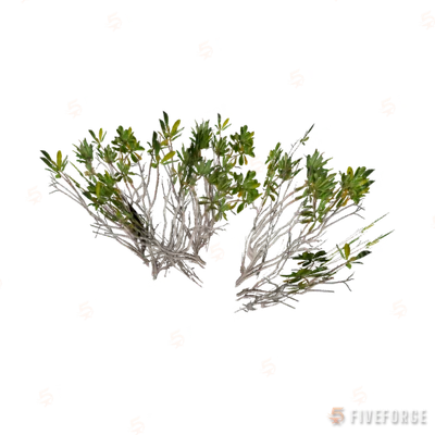h4_prop_bush_mang_aa GTA 5 object