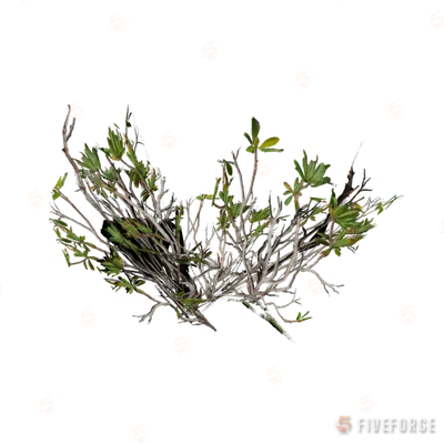 h4_prop_bush_mang_ac GTA 5 object