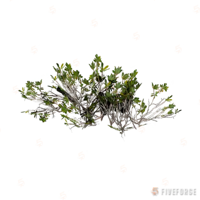 h4_prop_bush_mang_lg_aa GTA 5 object