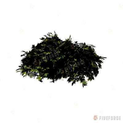 h4_prop_bush_mang_lrg_01 GTA 5 object