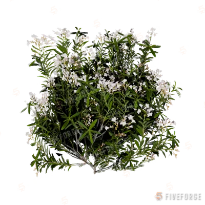 h4_prop_bush_olndr_white_lrg GTA 5 object