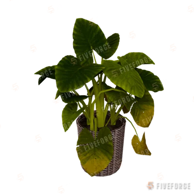 h4_prop_int_plants_02 GTA 5 object