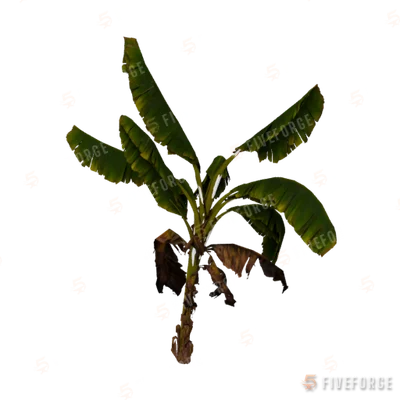 h4_prop_tree_banana_med_01 GTA 5 object