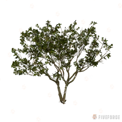 h4_prop_tree_blk_mgrv_lrg_01 GTA 5 object
