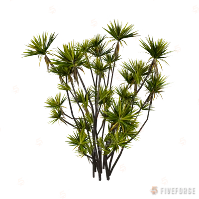 h4_prop_tree_dracaena_lrg_01 GTA 5