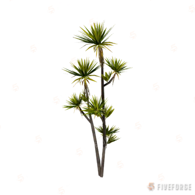 h4_prop_tree_dracaena_sml_01 GTA 5 object