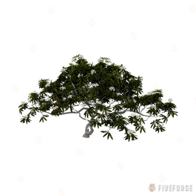 h4_prop_tree_frangipani_lrg_01 GTA 5 object