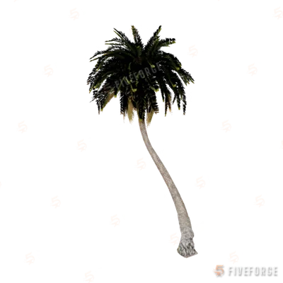 h4_prop_tree_palm_fan_bea_03b GTA 5 object