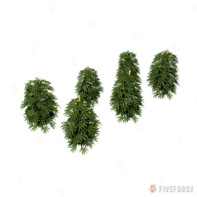 m25_1_prop_m51_weed_set_01a GTA 5 object