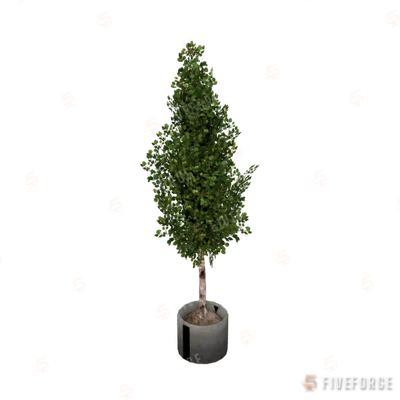 m25_2_prop_m52_art_plant_06a GTA 5 object
