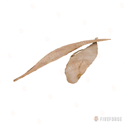 ng_proc_leaves02 GTA 5 object