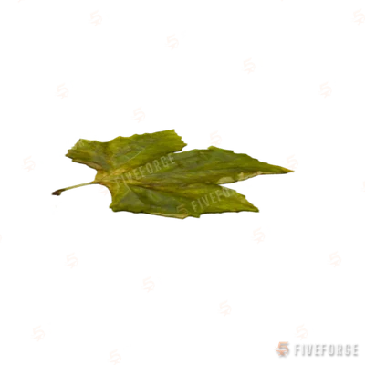p_cs_leaf_s GTA 5 object