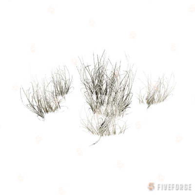 proc_drygrasses01 GTA 5 object