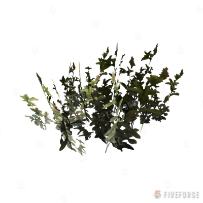 proc_leafyplant_01 GTA 5 object