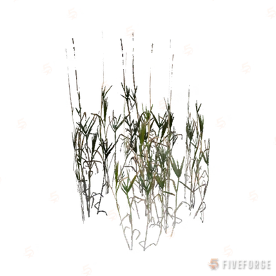 proc_sml_reeds_01 GTA 5 object