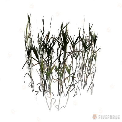 proc_sml_reeds_01b GTA 5 object