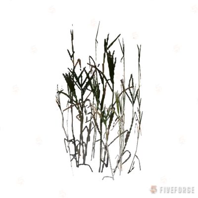 proc_sml_reeds_01c GTA 5 object