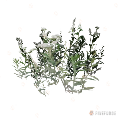 proc_wildquinine GTA 5 object