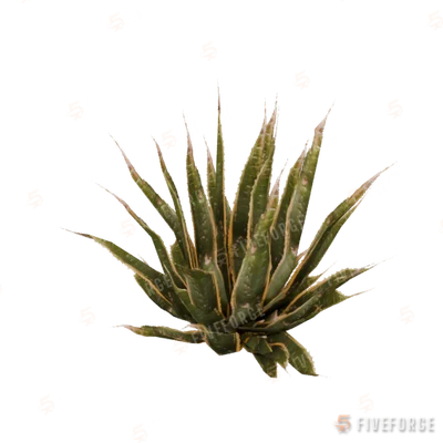 prop_agave_02 GTA 5 object