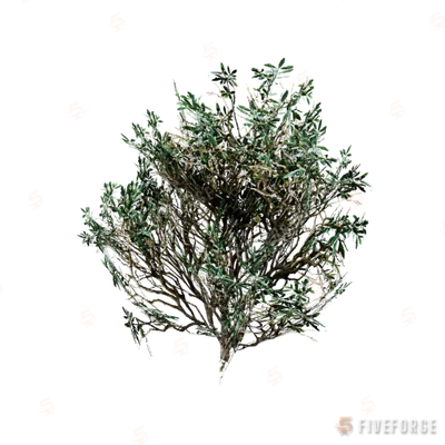prop_am_box_wood_01 GTA 5 object
