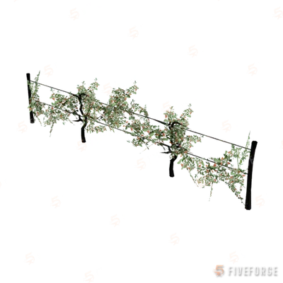 prop_bush_grape_01 GTA 5 object