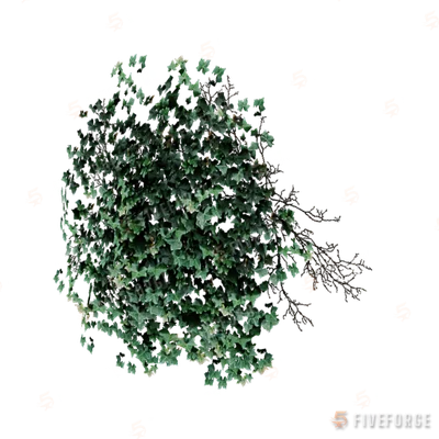 prop_bush_ivy_01_2m GTA 5 object