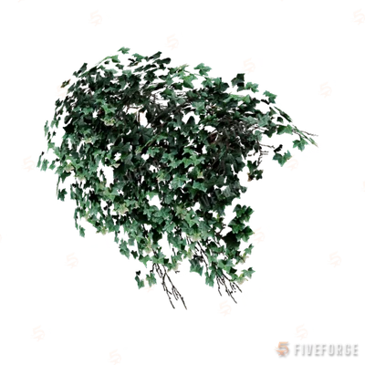 prop_bush_ivy_01_top GTA 5 object