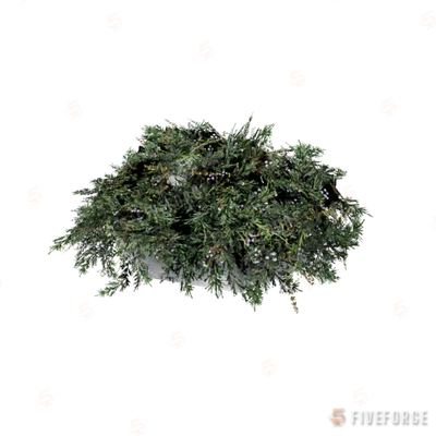 prop_bush_lrg_01 GTA 5 object