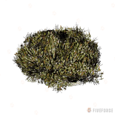 prop_bush_lrg_01b GTA 5 object