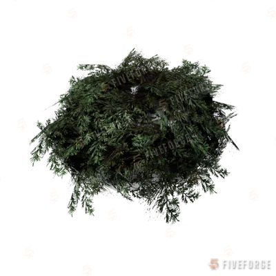 prop_bush_lrg_01c GTA 5 object
