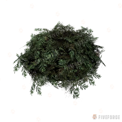 prop_bush_lrg_01c_cr GTA 5 object