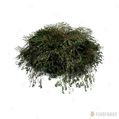 prop_bush_lrg_01d GTA 5