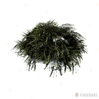 prop_bush_lrg_01e GTA 5 object