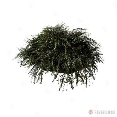 prop_bush_lrg_01e_cr GTA 5 object