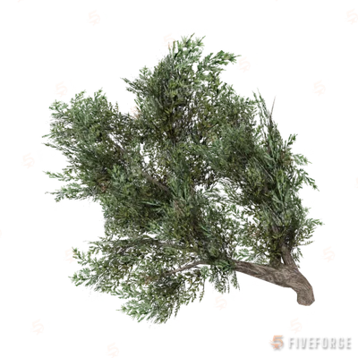 prop_bush_lrg_02 GTA 5 object