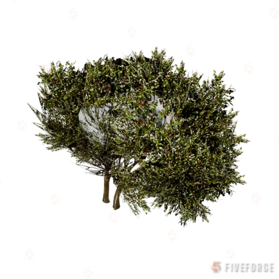 prop_bush_lrg_04c GTA 5 object