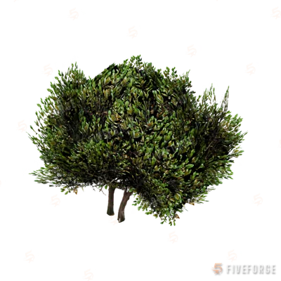 prop_bush_lrg_04d GTA 5 object
