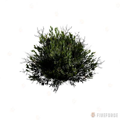 prop_bush_med_03_cr GTA 5 object
