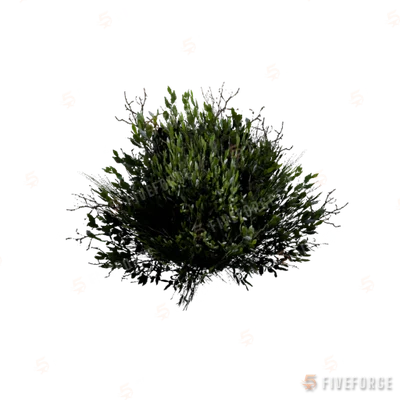 prop_bush_med_03_cr2 GTA 5 object