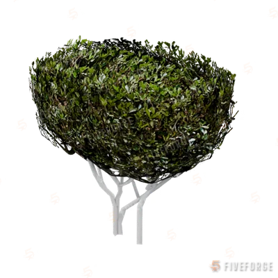 prop_bush_neat_01 GTA 5 object