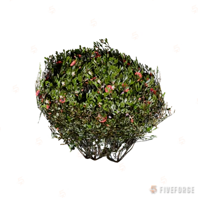prop_bush_neat_05 GTA 5 object