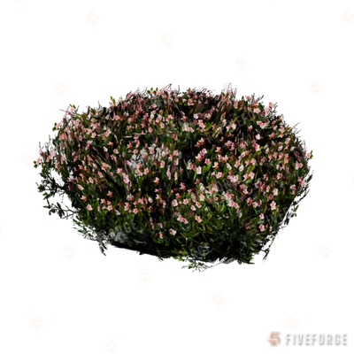prop_bush_neat_06 GTA 5 object
