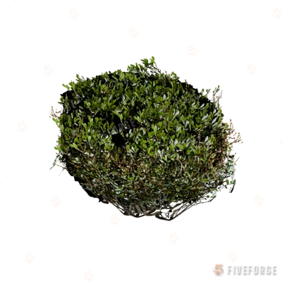 prop_bush_neat_07 GTA 5 object
